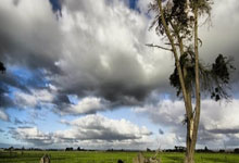 九游会:新春走基层丨山东女排:春节停赛不停训 全力备战十五运.