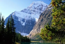 九游会：[CBA]击败青岛男篮 辽宁队锁定季后赛席位.